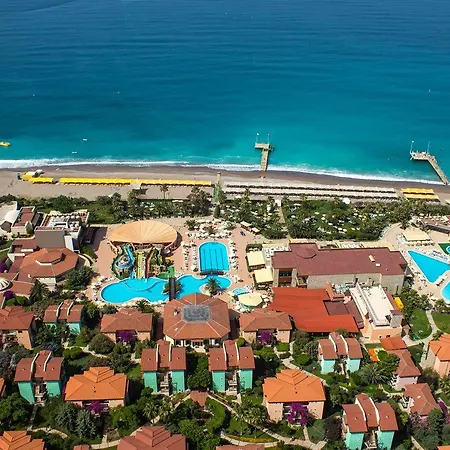 Complex Gypsophila Village