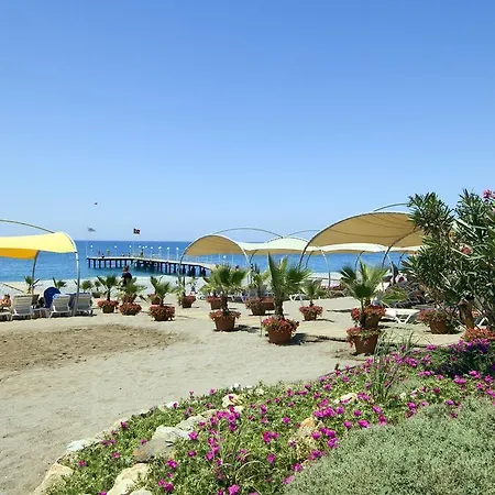 Gypsophila Village Ośrodek wypoczynkowy 5*