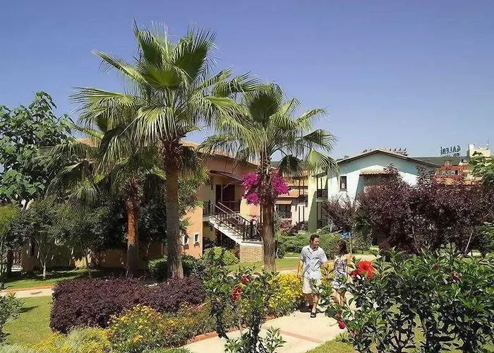 Gypsophila Village